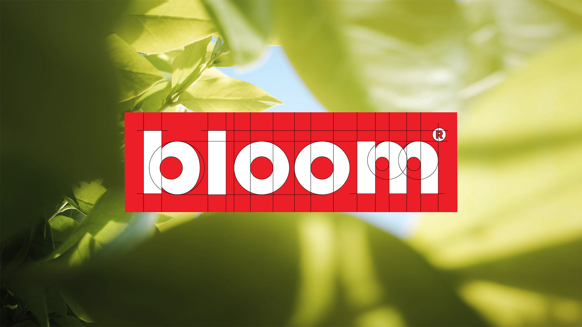 SmithBrandDesign.com - Bloom