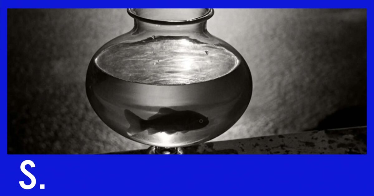 smithbranddesign.com scroll